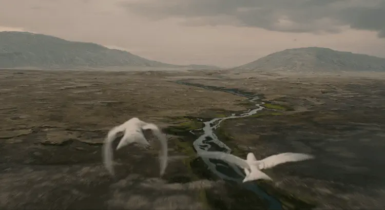 Aerial
