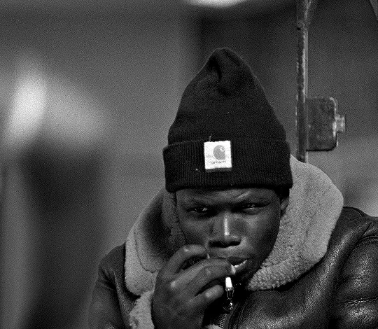 Shallow Focus