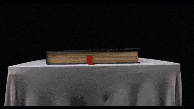 Probe